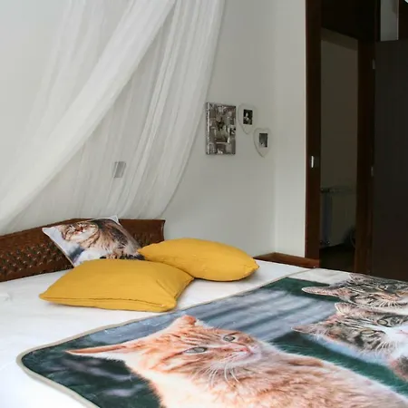 Geres Apartment *